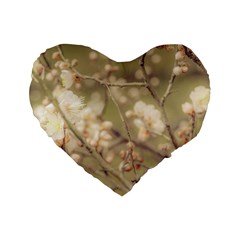 Sakura Flowers, Imperial Palace Park, Tokyo, Japan Standard 16  Premium Heart Shape Cushions by dflcprintsclothing