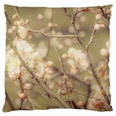 Sakura Flowers, Imperial Palace Park, Tokyo, Japan Large Flano Cushion Case (one Side) by dflcprintsclothing