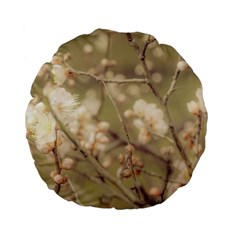 Sakura Flowers, Imperial Palace Park, Tokyo, Japan Standard 15  Premium Flano Round Cushions by dflcprintsclothing