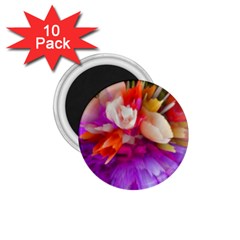 Poppy Flower 1 75  Magnets (10 Pack)  by Sparkle