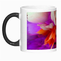 Poppy Flower Morph Mugs