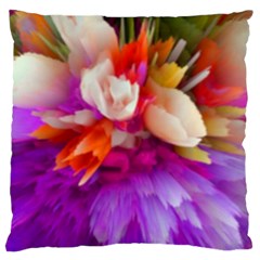 Poppy Flower Large Cushion Case (one Side) by Sparkle