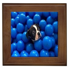 Cute Balls Puppy Framed Tile by Sparkle