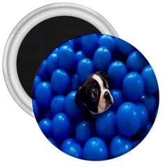 Cute Balls Puppy 3  Magnets by Sparkle