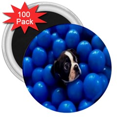 Cute Balls Puppy 3  Magnets (100 Pack) by Sparkle