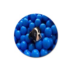 Cute Balls Puppy Magnet 3  (round) by Sparkle