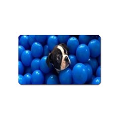 Cute Balls Puppy Magnet (name Card) by Sparkle