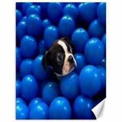 Cute Balls Puppy Canvas 12  X 16  by Sparkle