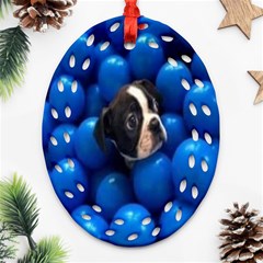 Cute Balls Puppy Ornament (oval Filigree) by Sparkle