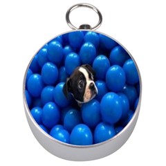 Cute Balls Puppy Silver Compasses by Sparkle