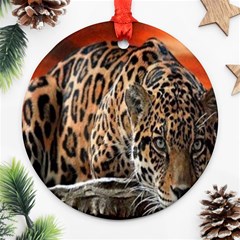 Nature With Tiger Round Ornament (two Sides) by Sparkle