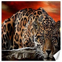 Nature With Tiger Canvas 12  X 12  by Sparkle