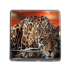 Nature With Tiger Memory Card Reader (square 5 Slot)