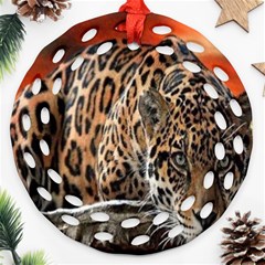 Nature With Tiger Ornament (round Filigree) by Sparkle