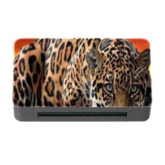 Nature With Tiger Memory Card Reader With Cf