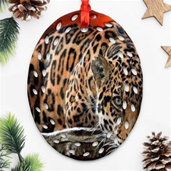 Nature With Tiger Ornament (oval Filigree) by Sparkle