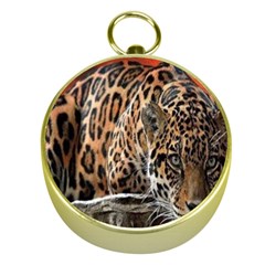 Nature With Tiger Gold Compasses by Sparkle