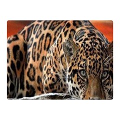 Nature With Tiger Double Sided Flano Blanket (mini)  by Sparkle