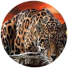 Nature With Tiger Wooden Puzzle Round by Sparkle