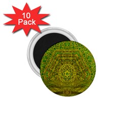 Gold Golden Sunset Mandala 1 75  Magnets (10 Pack)  by pepitasart