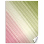 Pink Green Canvas 12  x 16  11.86 x15.41  Canvas - 1