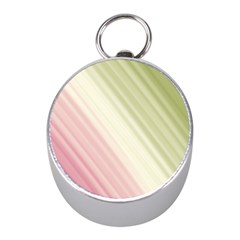 Pink Green Mini Silver Compasses