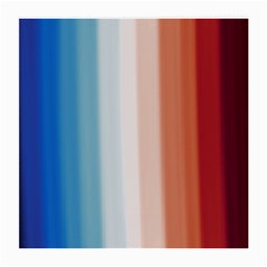 Blue,white Red Medium Glasses Cloth (2 Sides) by Sparkle