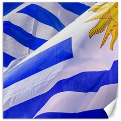 Uruguay Flags Waving Canvas 12  X 12 