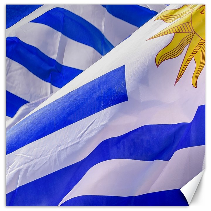 Uruguay Flags Waving Canvas 20  x 20 