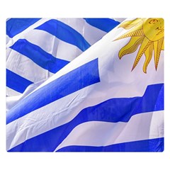 Uruguay Flags Waving Double Sided Flano Blanket (small)  by dflcprintsclothing