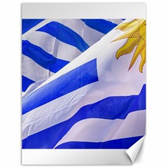 Uruguay Flags Waving Canvas 18  X 24  by dflcprintsclothing