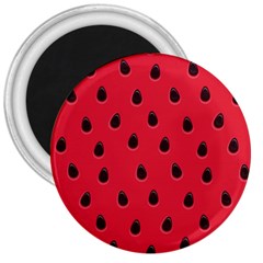 Seamless Watermelon Surface Texture 3  Magnets