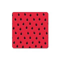 Seamless Watermelon Surface Texture Square Magnet by Vaneshart