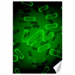 Green Rod Shaped Bacteria Canvas 12  X 18  by Vaneshart