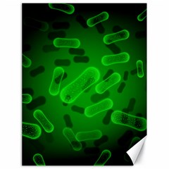 Green Rod Shaped Bacteria Canvas 18  X 24  by Vaneshart