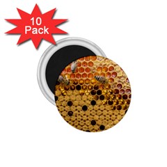 Top View Honeycomb 1 75  Magnets (10 Pack)  by Vaneshart