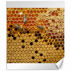 Top View Honeycomb Canvas 8  X 10  by Vaneshart