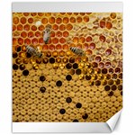 Top View Honeycomb Canvas 20  x 24  19.57 x23.15  Canvas - 1