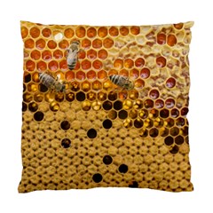 Top View Honeycomb Standard Cushion Case (one Side) by Vaneshart