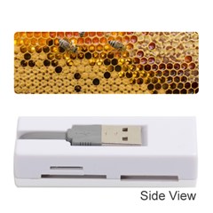 Top View Honeycomb Memory Card Reader (stick) by Vaneshart