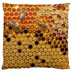 Top View Honeycomb Large Cushion Case (two Sides) by Vaneshart