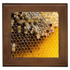 Honeycomb With Bees Framed Tile by Vaneshart