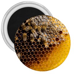 Honeycomb With Bees 3  Magnets by Vaneshart