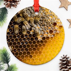 Honeycomb With Bees Ornament (round) by Vaneshart