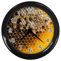 Honeycomb With Bees Wall Clock (black)