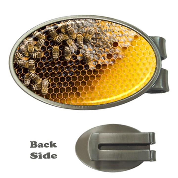 Honeycomb With Bees Money Clips (Oval) 