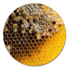 Honeycomb With Bees Magnet 5  (round) by Vaneshart