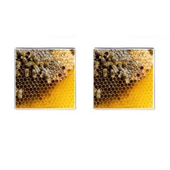 Honeycomb With Bees Cufflinks (square) by Vaneshart