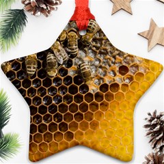 Honeycomb With Bees Star Ornament (two Sides) by Vaneshart