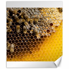 Honeycomb With Bees Canvas 8  X 10  by Vaneshart